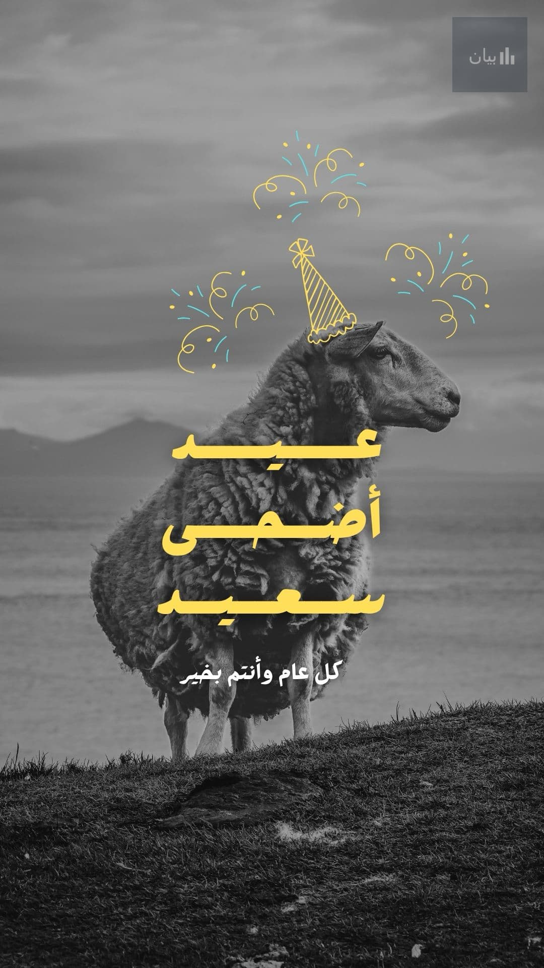 Greeting Card 14